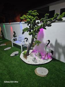Dieyra Homestay 2 private pool