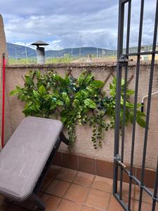 El Mondalindo Habitación intima con patio