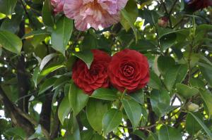 Casale Colle Belvedere