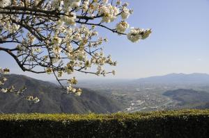 Casale Colle Belvedere