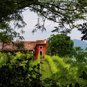 MASARI ALLA CASA ROSSA Vineyard guest house