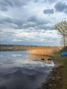 Brīvdienu māja Daugavas vītoli