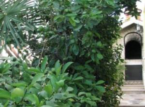 Apartments Milakovic-Kanica