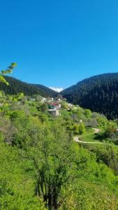 Tsigaridas Mountain Home