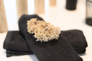 Naxos Kastraki Beauty flat and villa