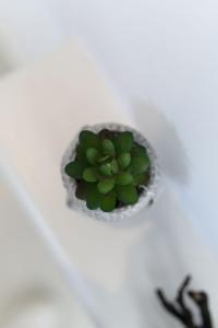 Naxos Kastraki Beauty flat and villa