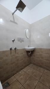 Elephant Coco Homestays