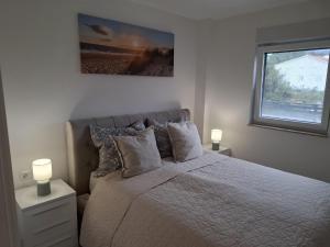 Deluxe apartment with swimming pool