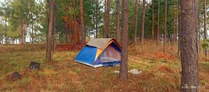 Everest Home Stay Apartment