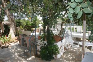 Hotel Eliza Lasithi Greece