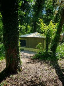 Campings Hotel plein air Camping- Privatisation possible : Bungalow Familial