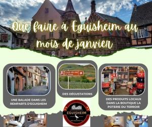 Appartements Gite Geranium*** : photos des chambres