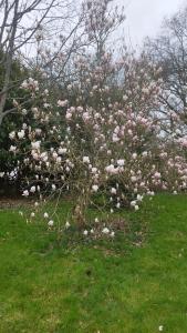 Gîte Lann Er Viline