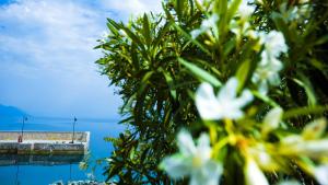 Penelopes Blue Sea Front Residenses