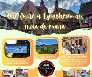 Appartements Gite St Leon a Eguisheim : photos des chambres
