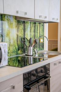 Luxury Acclavio Apartments