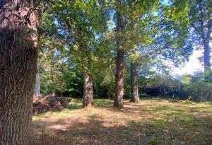 Maisons de vacances Charmante Maison avec Parc entre Seine et Foret de Fontainebleau a 30mn de Paris : photos des chambres