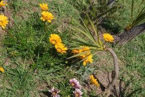 Villa Relax tra i mirti img18