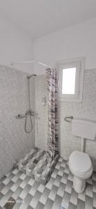 Το πετρινο σπιτι