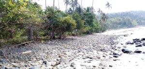 Exclusive Private Beach Camping