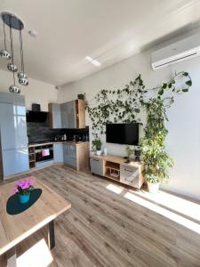 Apartament Green Loft Centrum