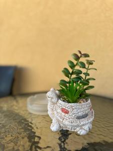 Airport apartments Jelena