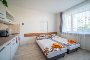 Cozy Studio Apartment