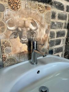 Northern Rock Campsites