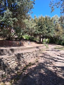 Appartements Une residence au calme a 600 m des plages de La Ciotat : Appartement 1 Chambre