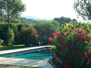 Maison de charme en Luberon à proximité de Lourmarin piscine privée et grand jardin