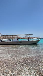 Dive Art Oman