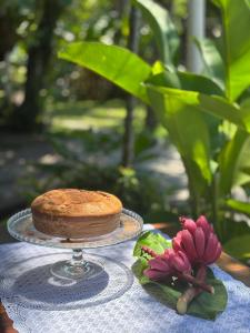 Pousada Recanto Itaguá
