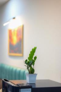 The Starlit Stays-Modern Studio