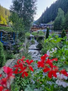 Căbănuța Cocoțată