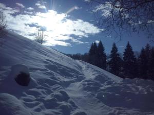 Ferienhaus Lemberger