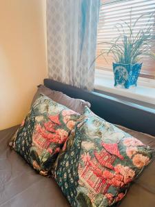 Gra accommodations athy