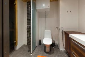 Karhunvartija 8 Visit Levi