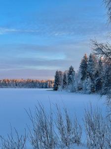Traditional Lapland 2BR House with Private sauna