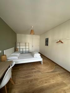 Sejours chez l'habitant Chambres 20m2, SDB PV, Centre, WIFI, Appart 160m2 : photos des chambres