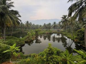 Evergreen Homestay