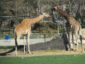 Bleu Riviera - Évasion en bord de mer