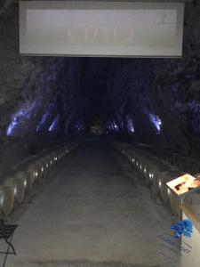 Appartements Studio Bleu Riviera - Evasion en bord de mer : Studio