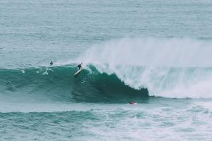 Palm Haven House - Luxury family-friendly Newquay surf house near Porth Beach perfect for walking, pets, exploring