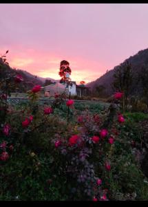 Corbett hill center river home stay