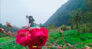 Corbett hill center river home stay