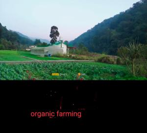 Corbett hill center river home stay