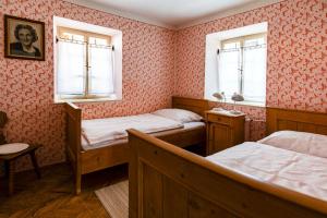 House, Garden and a Green Cat