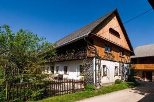 House, Garden and a Green Cat