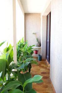 Appartements Spacious Duplex Pantin, near Paris : photos des chambres