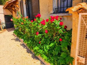 Appartements Cadre d'exception : photos des chambres